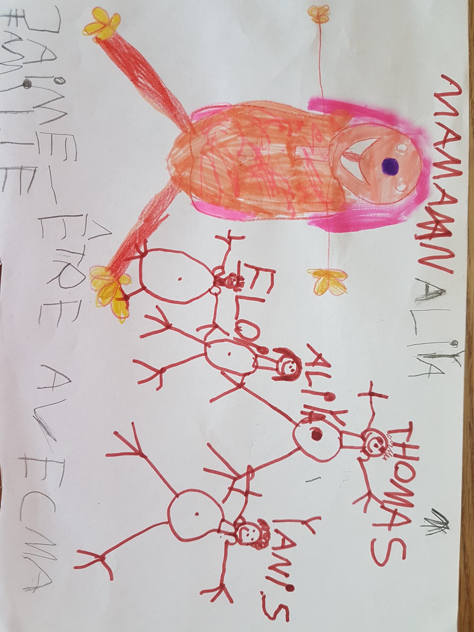 aliya_dessin.jpg