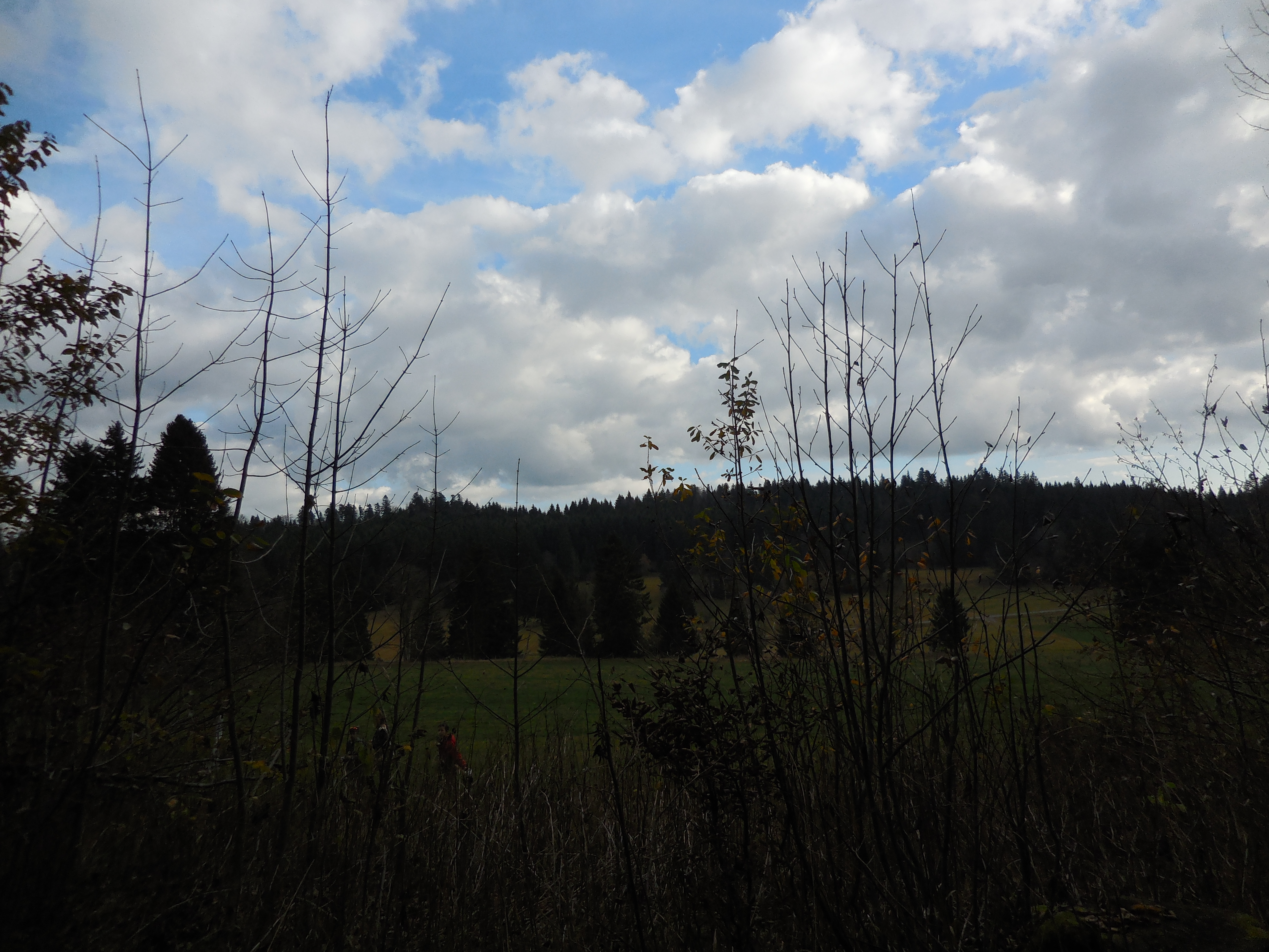 dscn0411.jpg