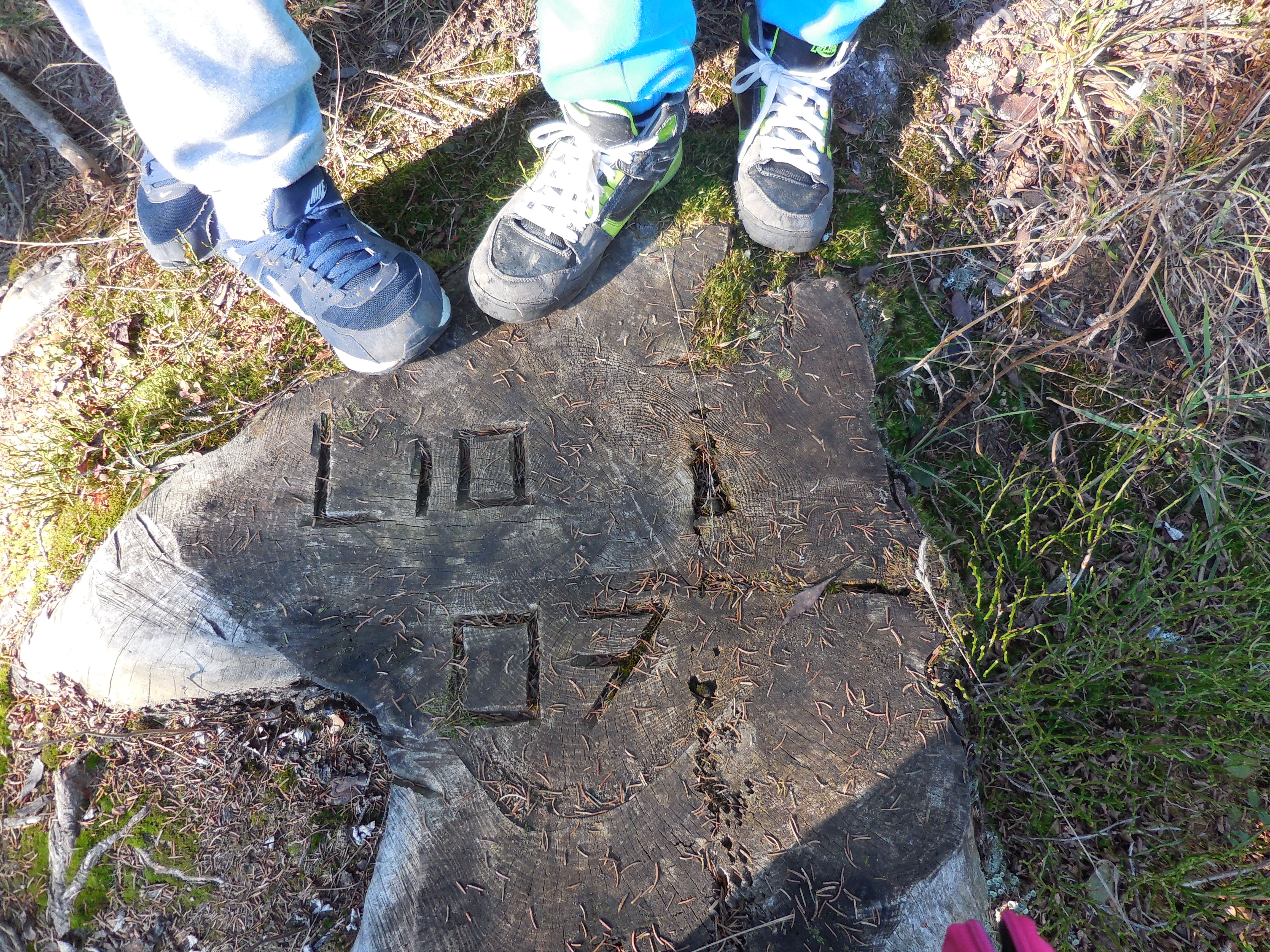 dscn0464.jpg