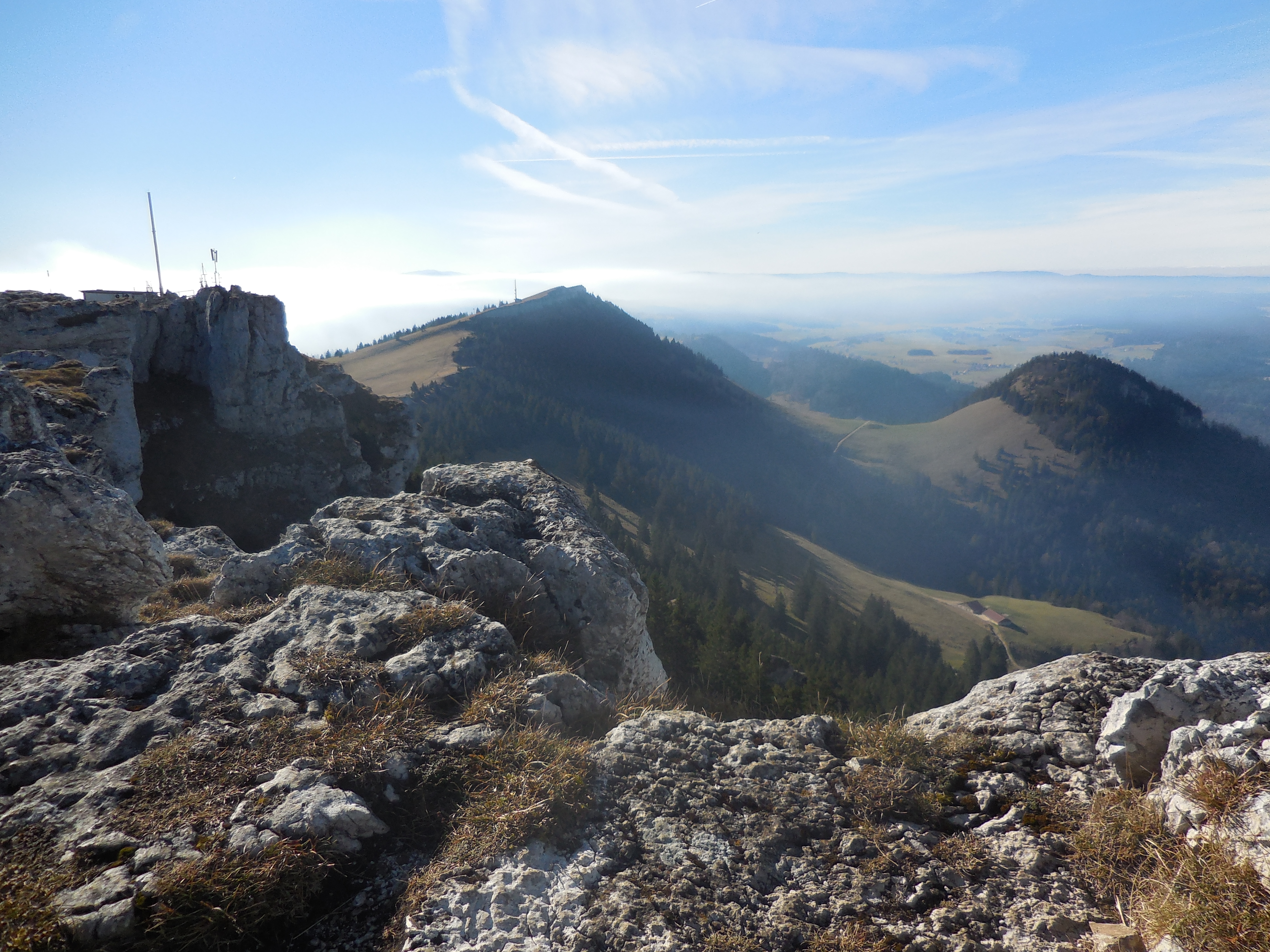 dscn0478.jpg