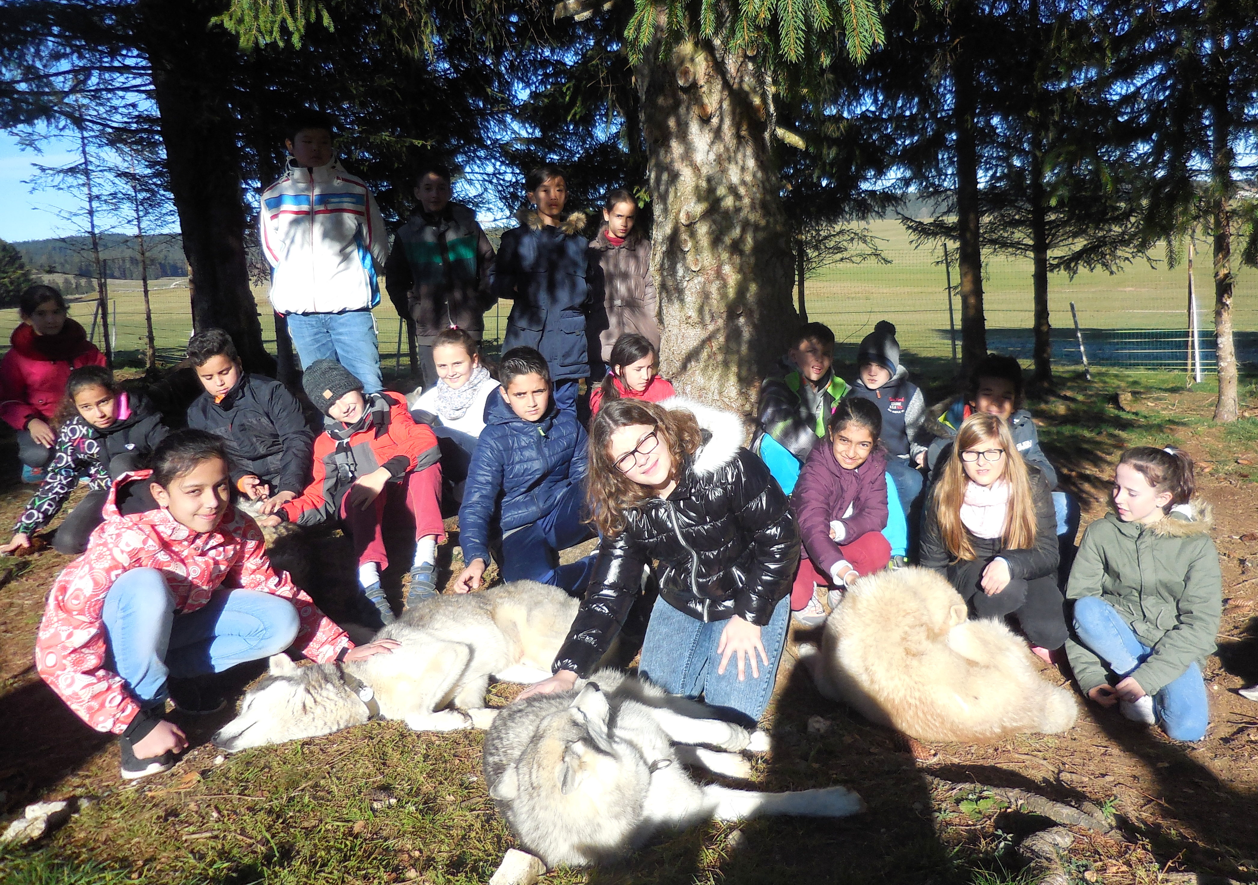 dscn0582.jpg