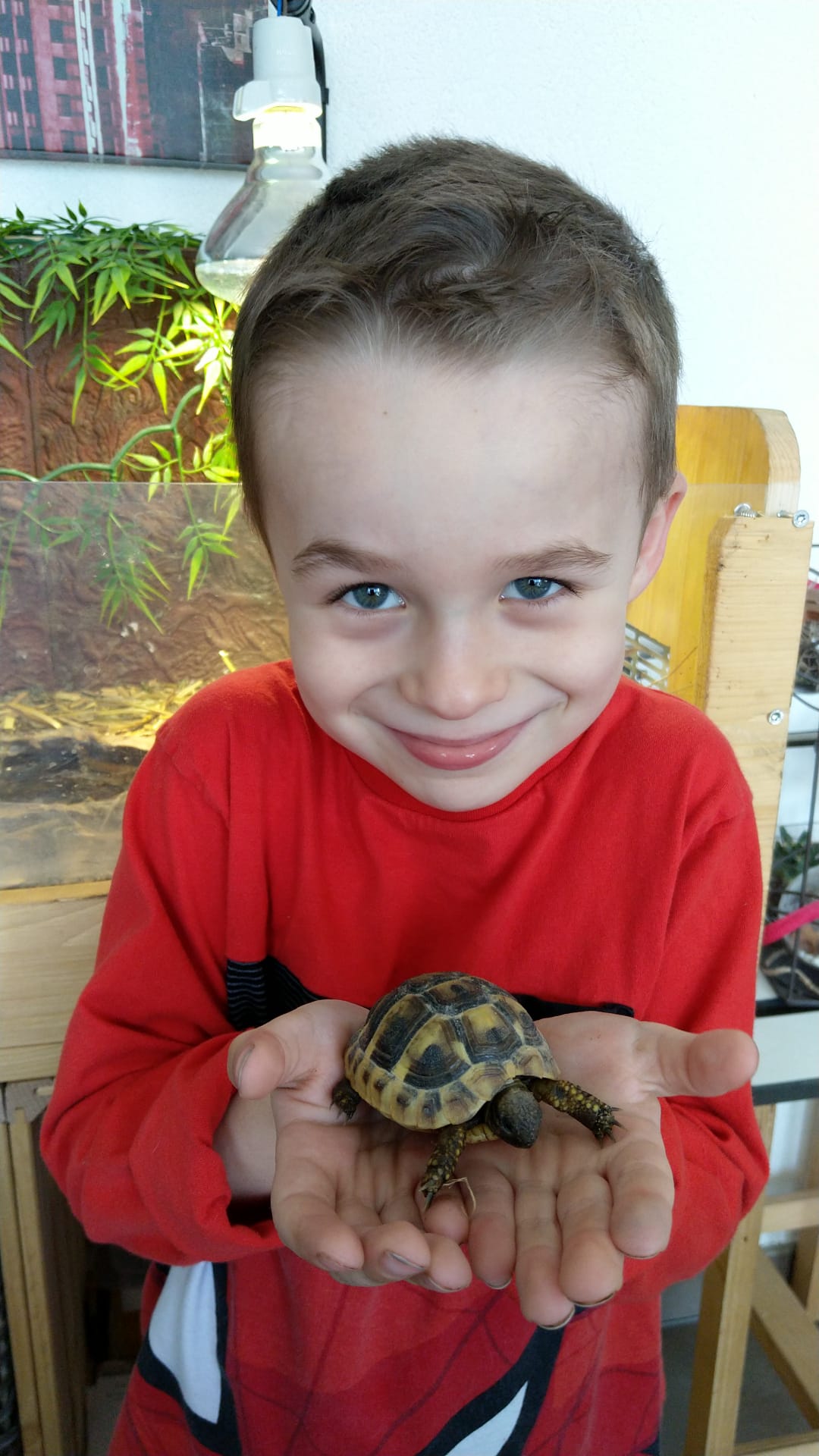 la_tortue_de_natheo.jpg